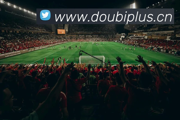 多媒体互动体验